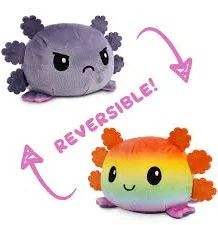 tea turtle lg rainbow
